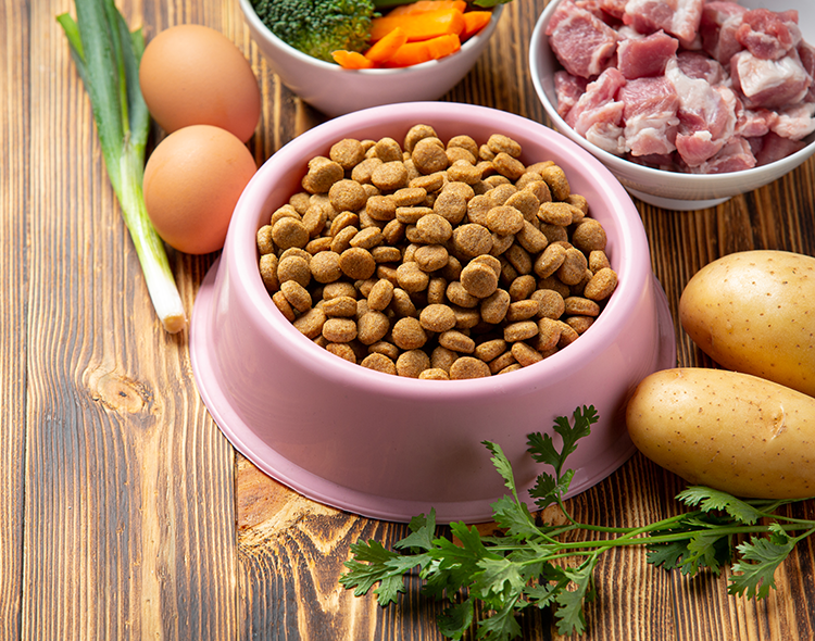 Czy pies może jeść ziemniaki, marchew i dynię? Jesienne warzywa dla psa