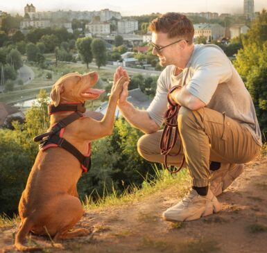 Trening posłuszeństwa u psa – Skuteczne metody i wskazówki