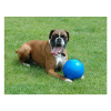 Boomer Ball Piłka dla psa niebieska M 15cm