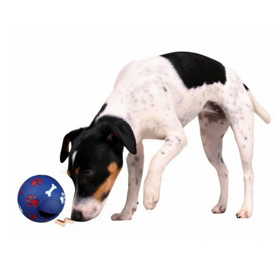 Trixie Zabawka edukacyjna dla psa Kula karmnik 14cm