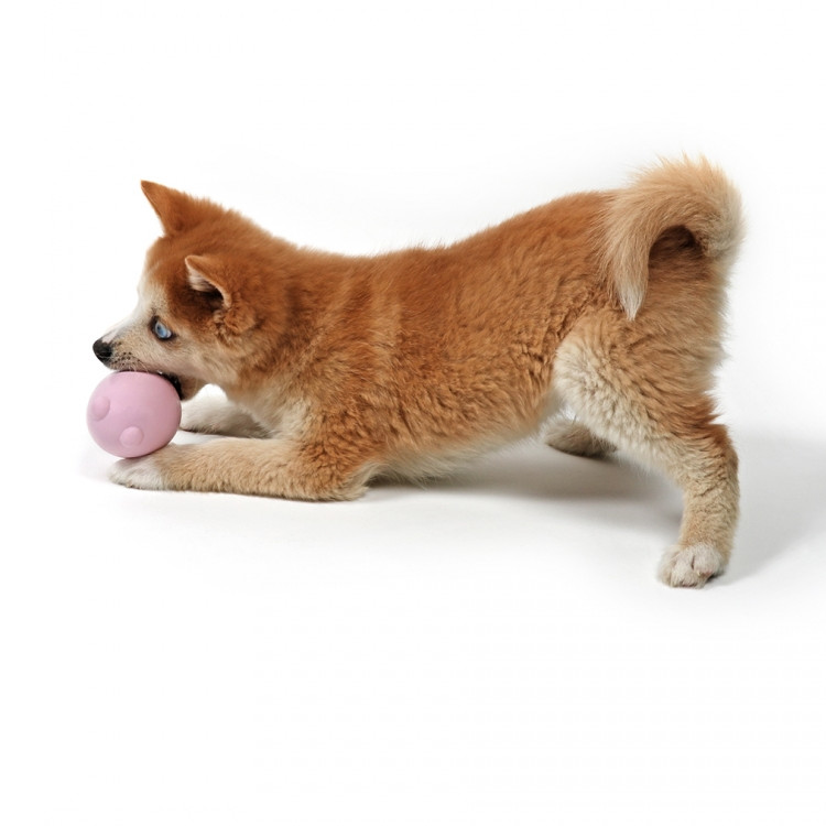 Ebi Petit Zabawka dla psa Balu Różowa 8x6x6cm