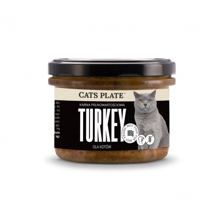 Cats Plate Turkey Indyk
