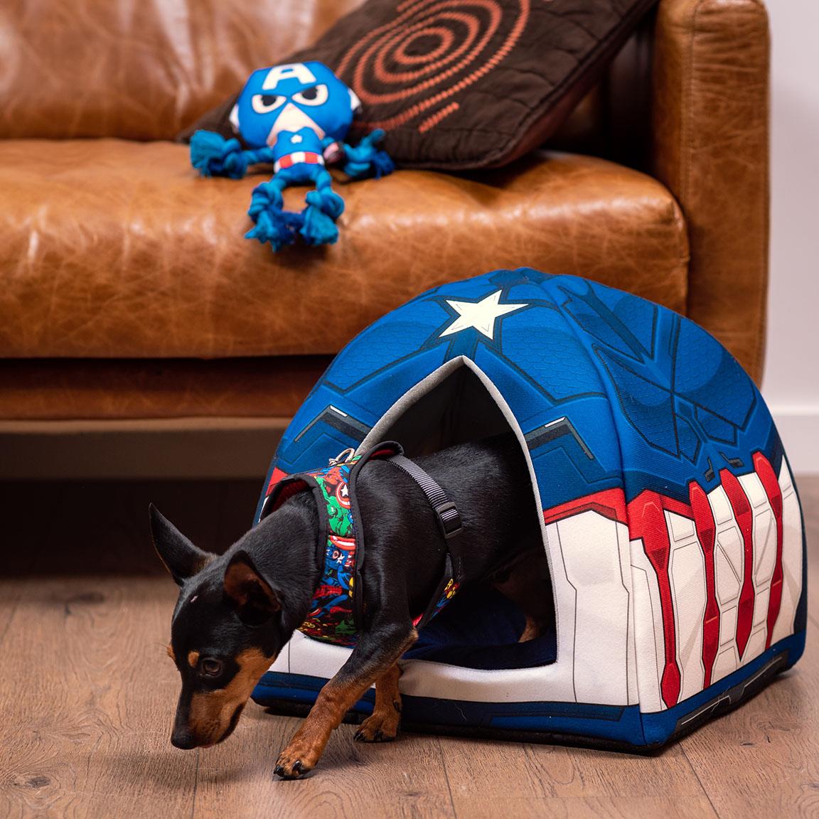 For Fan Pets Budka Avengers Capitan America