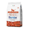 monge-cat-senior-