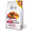 brit-animals-guinea-pig-complete