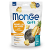 monge-gift-super-m-dog-adult-jagnicina-z-ananasem